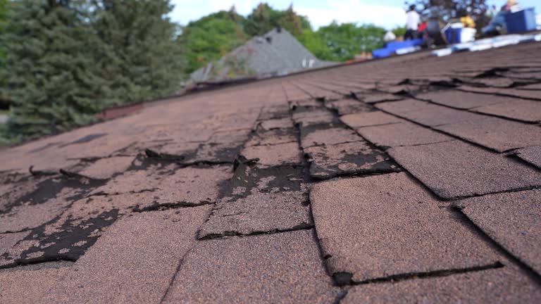 Best Cold Roofs  in Bonneau Beach, SC